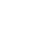 Vector (20)